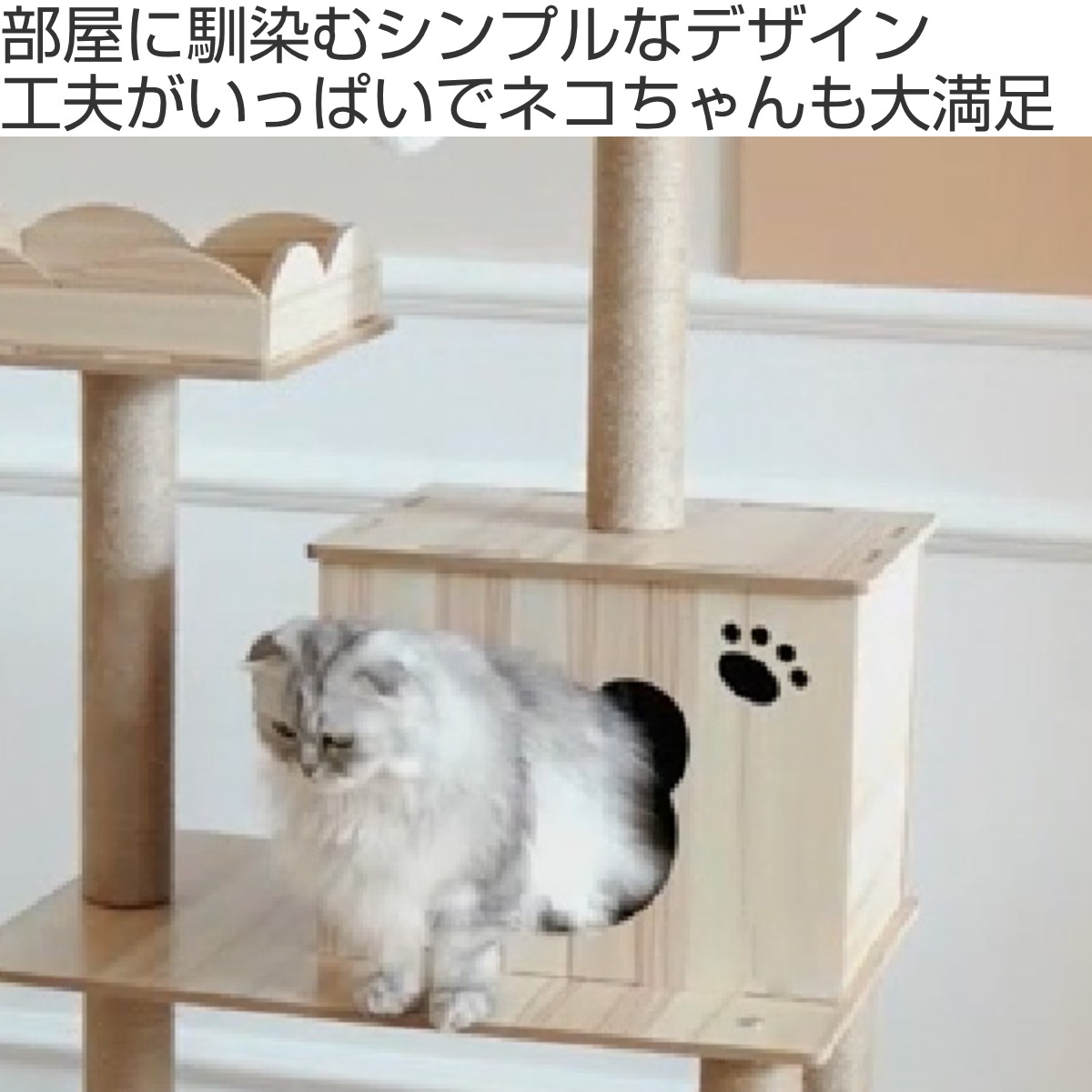 キャットタワー ねこぞく タンゴ 木製 据え置き （ キャットツリー 猫