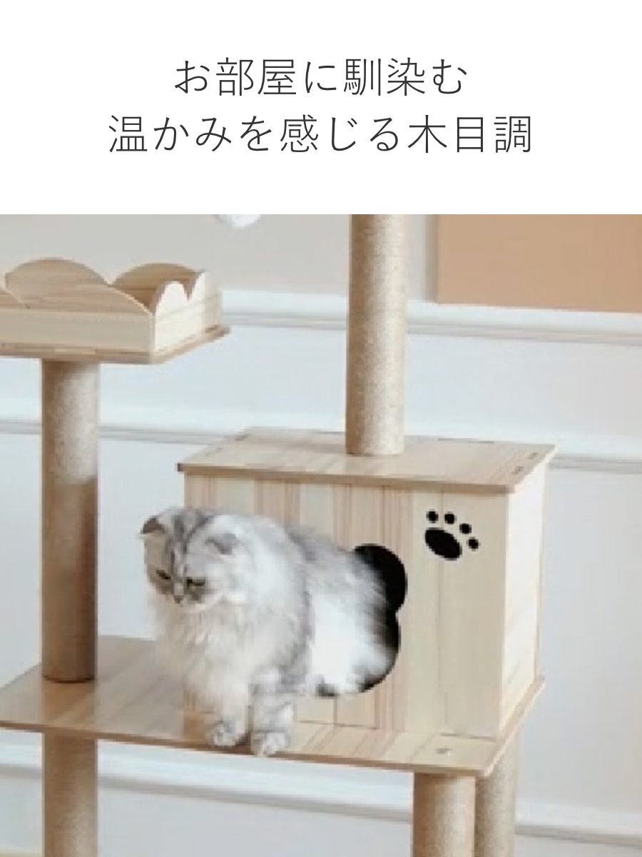 キャットタワー ねこぞく タンゴ 木製 据え置き （ キャットツリー 猫