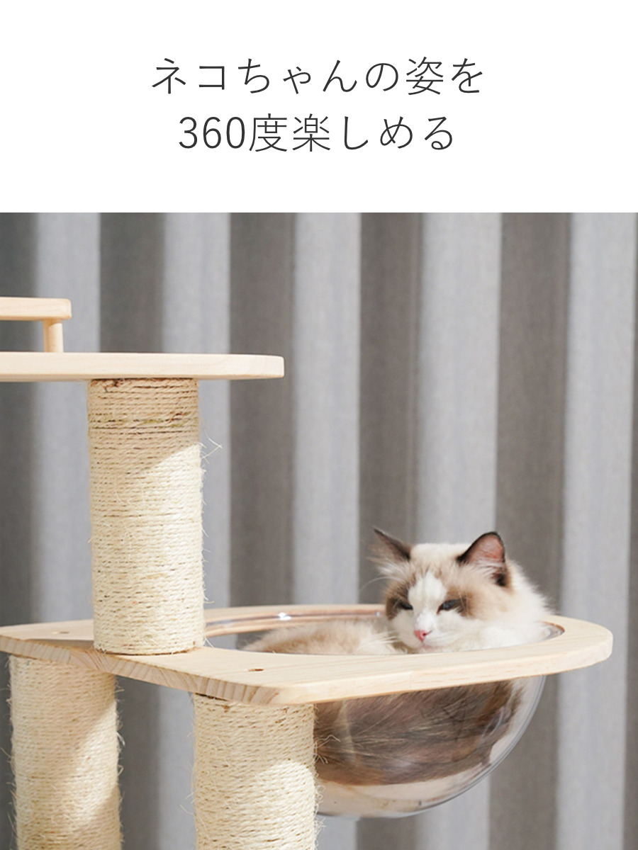 キャットタワー ねこぞく ツインタワー 木製 据え置き （ キャット