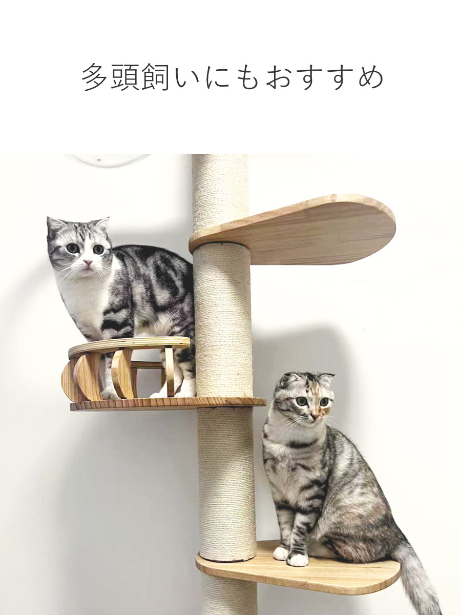 キャットタワー ねこぞく パスピエ 木製 突っ張り スリム （ キャット