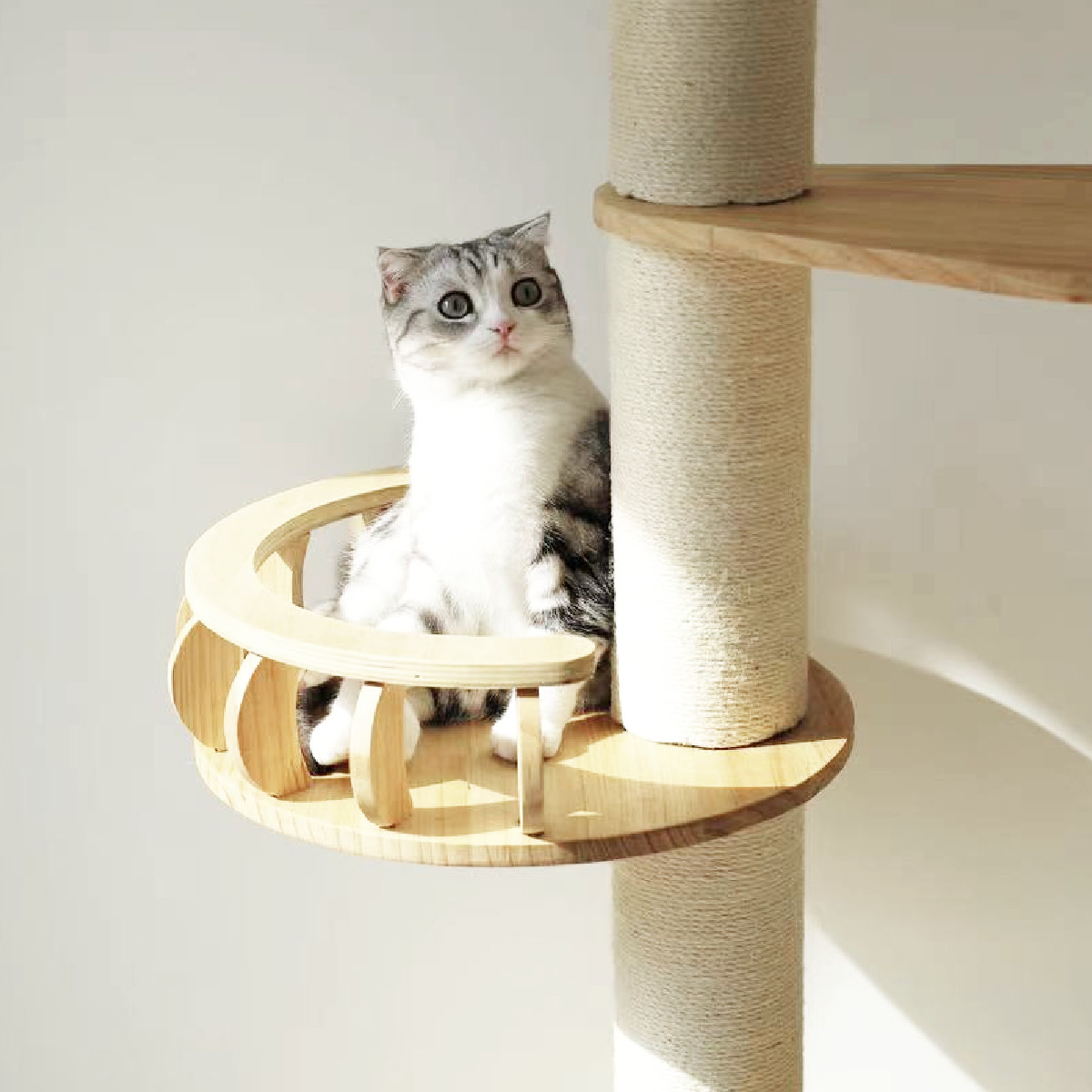 キャットタワー ねこぞく パスピエ 木製 突っ張り スリム （ キャット