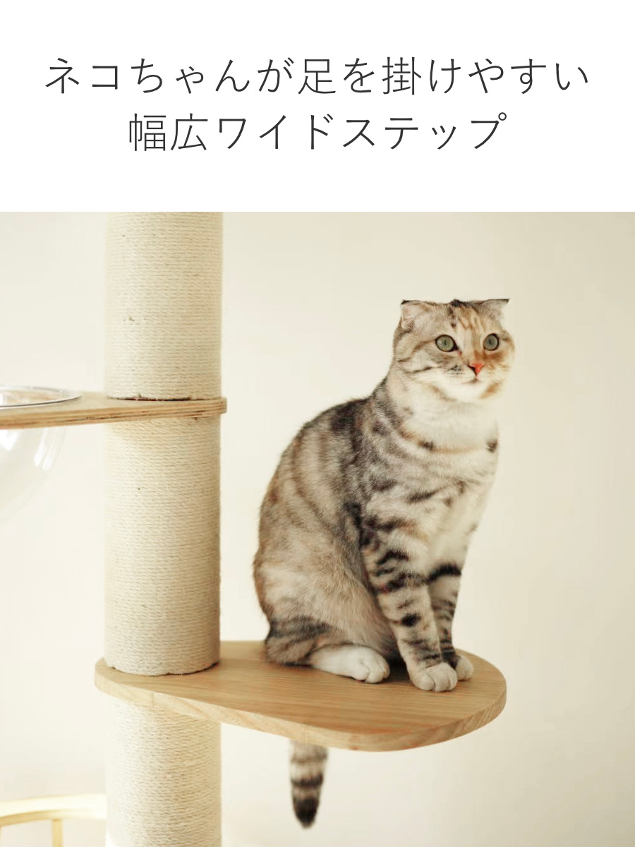 キャットタワー ねこぞく パスピエ 木製 突っ張り スリム （ キャット
