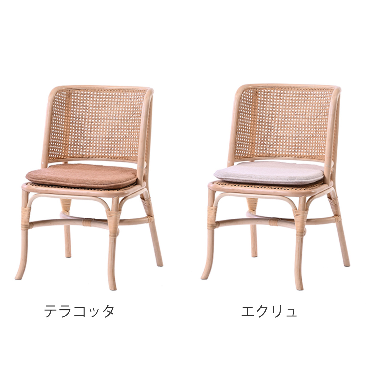 ダイニングチェア ラタン 座面高45cm クッション付 天然木 CALM