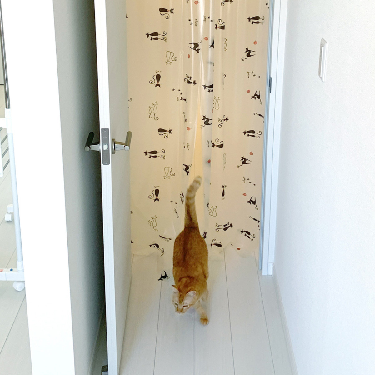 間仕切り のれん ペット用 冷気 遮断保温 猫 犬 （ 間仕切りのれん