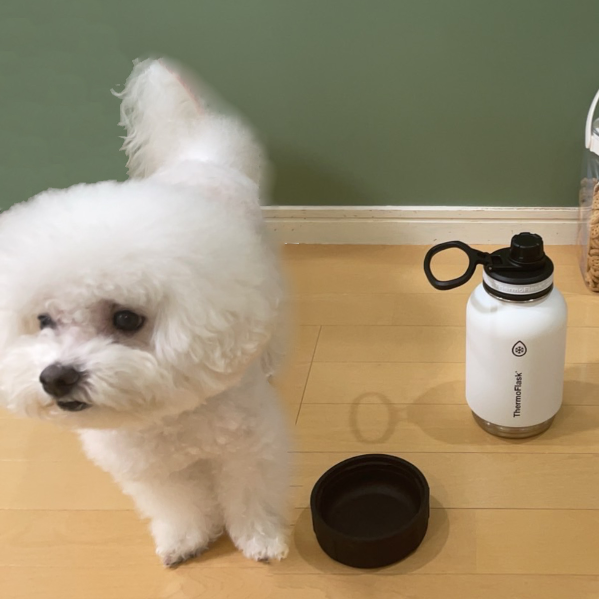 TAKEYA FLASK 水筒 給水器 犬 サーモフラスク シェアボトル 940ml 保冷