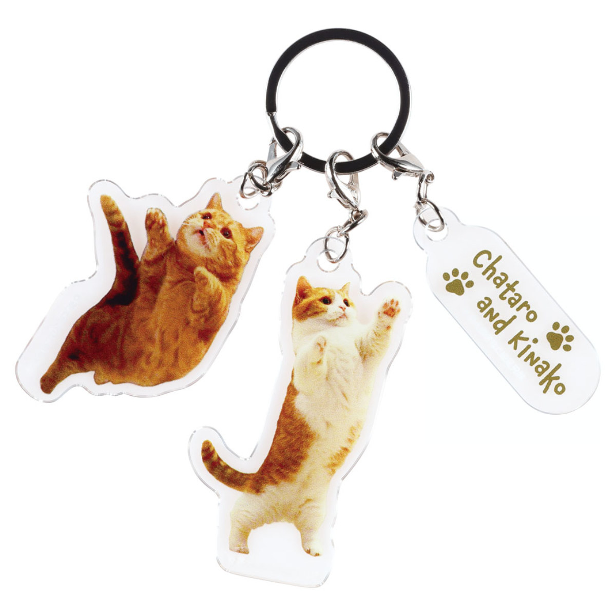スケーター アクリル キーホルダー 3連 茶太郎ときなこ 猫