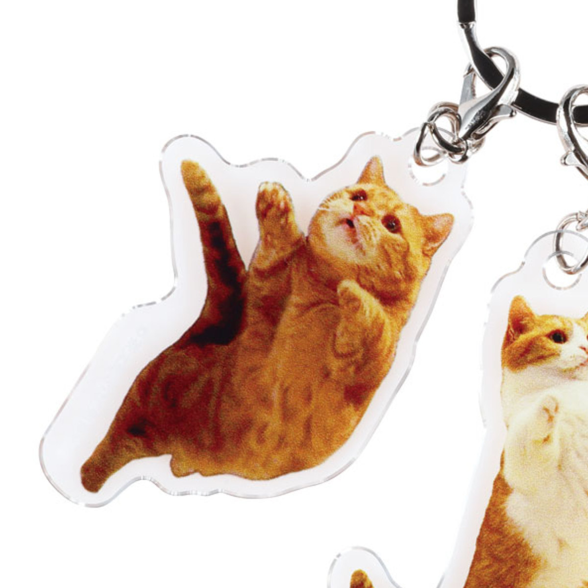 スケーター アクリル キーホルダー 3連 茶太郎ときなこ 猫