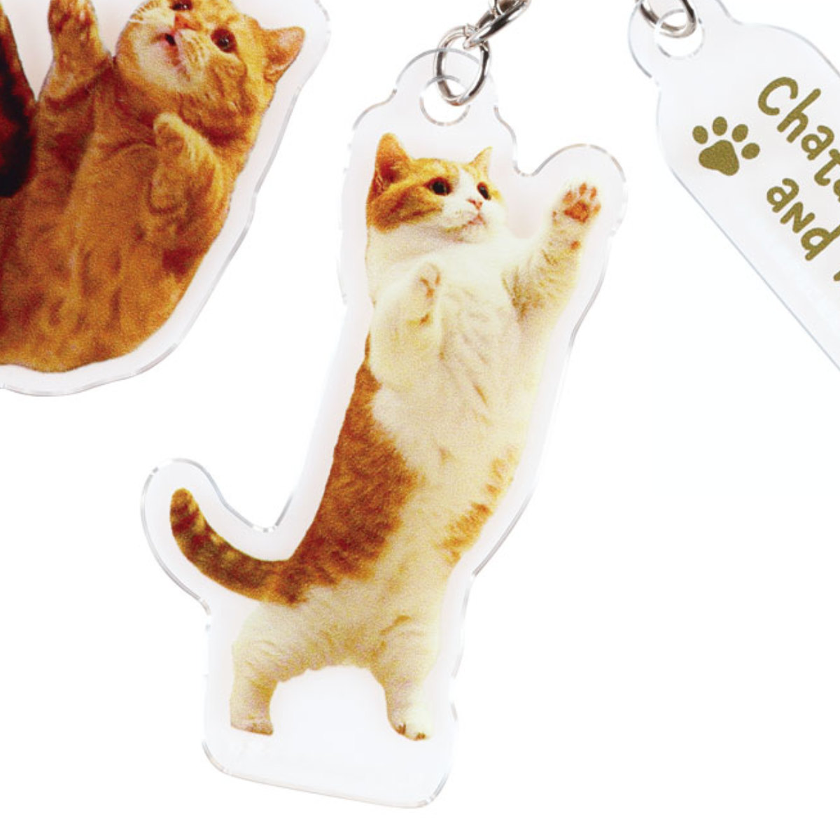 アクリル キーホルダー 3連 茶太郎ときなこ 猫 （ キーリング チャーム ねこ 茶太郎 きなこ アクリルキーホルダー バッグチャーム 鍵 かわいい  動物 ）