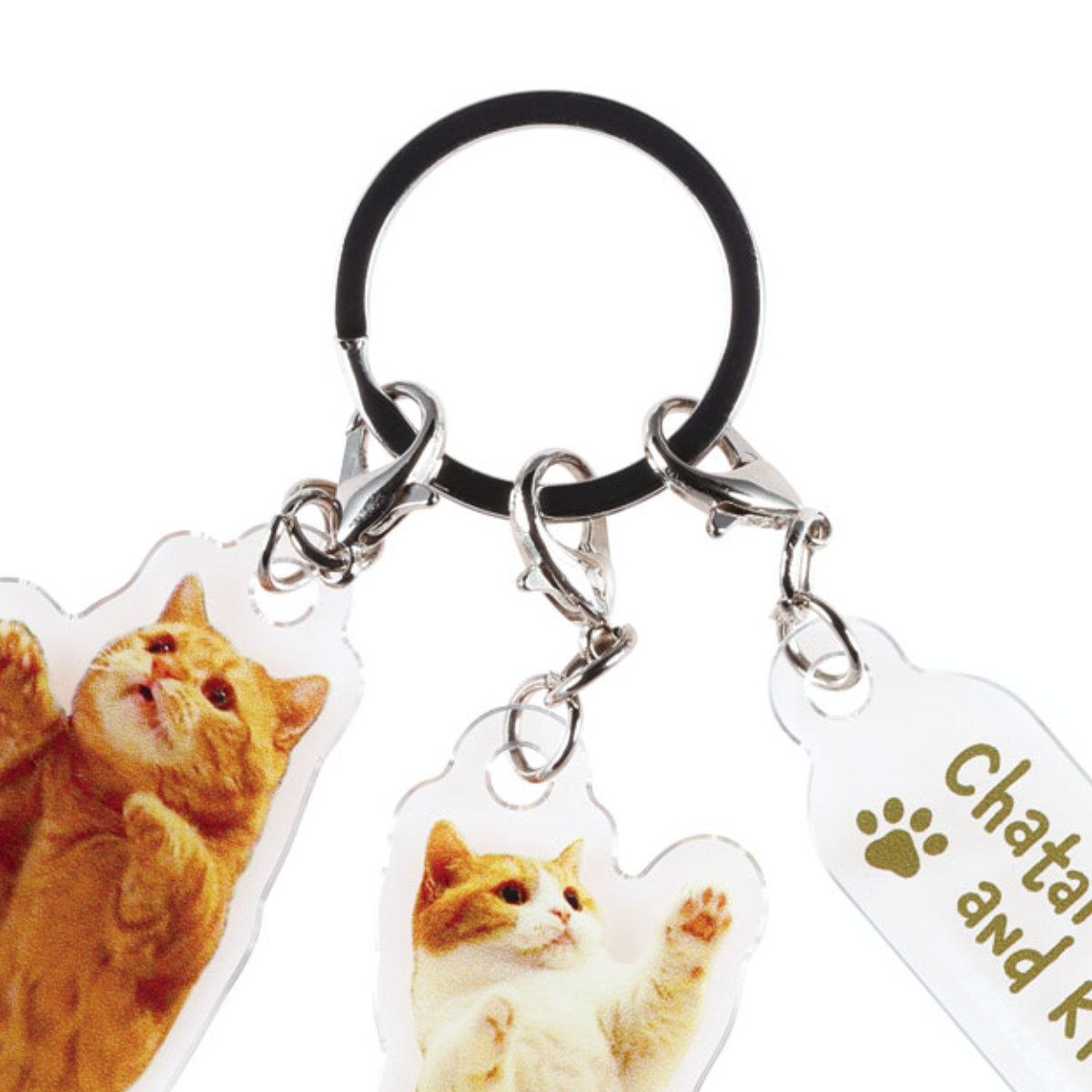 スケーター アクリル キーホルダー 3連 茶太郎ときなこ 猫