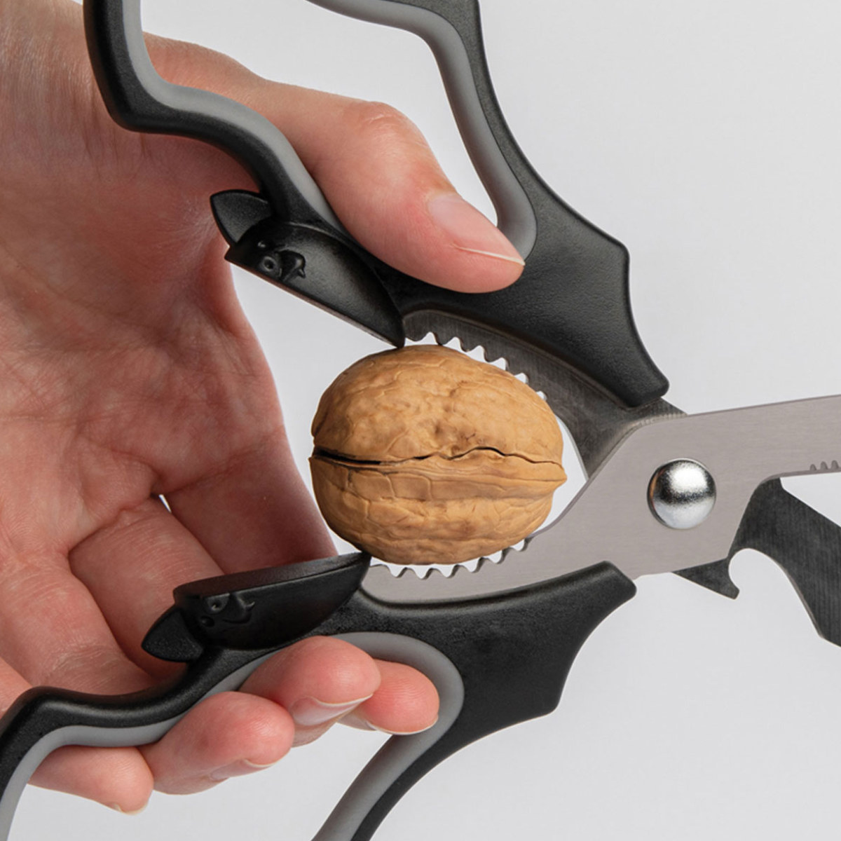 アントレックス キッチンバサミ OTOTO エリザバット コウモリ （ 料理