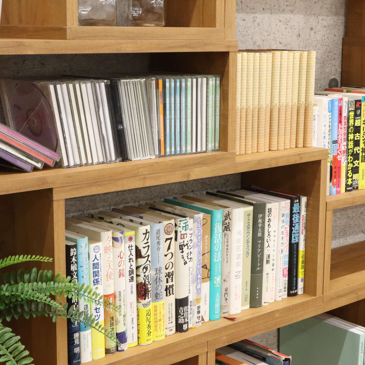 オープンラックシステム スリムタイプ 幅50×奥行20×高さ30cm 組合せ自由 工具不要 （ ラック 棚 オープンラック 収納 組み合わせ 簡単 ） | エイ・アイ・エス | 13