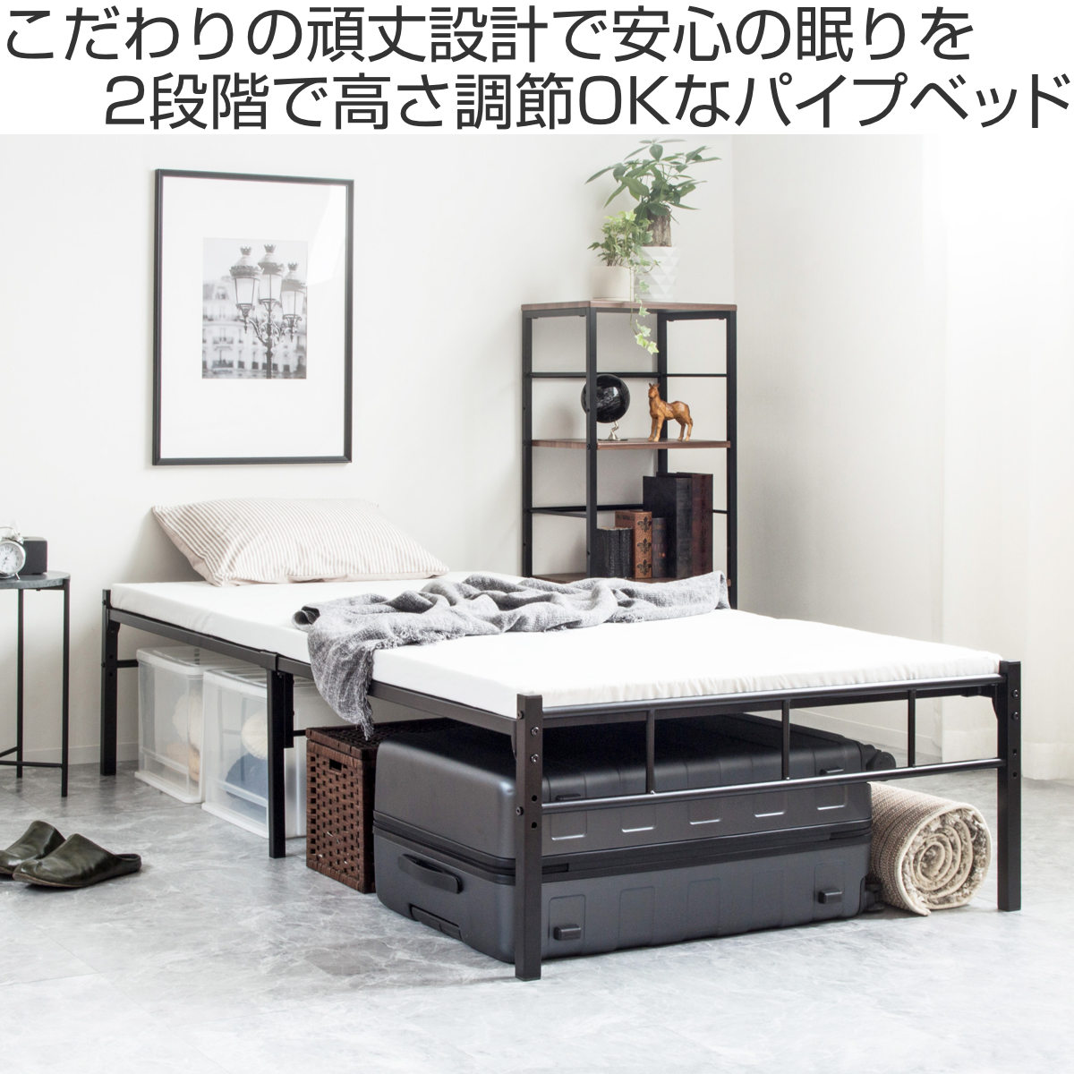岩附 パイプベッド シングル スチール 頑丈 高さ2段階調整 （ ベッド