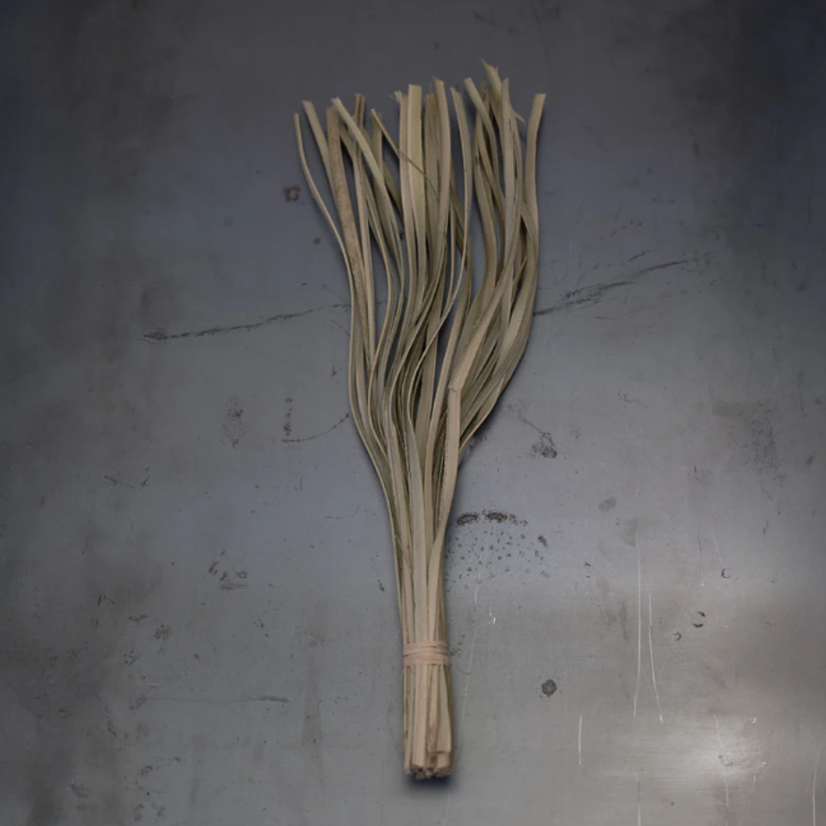 magnet ドライフラワー CASTO PALM LAZER NATURAL （ パーム ヤシ 枝