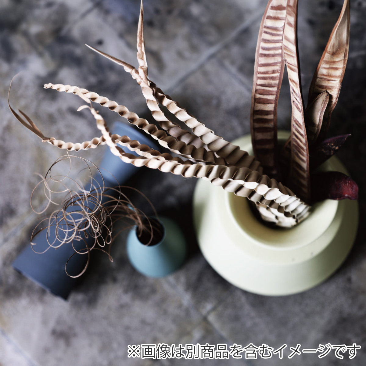 ドライフラワー CASTO PALM FING...の詳細画像5