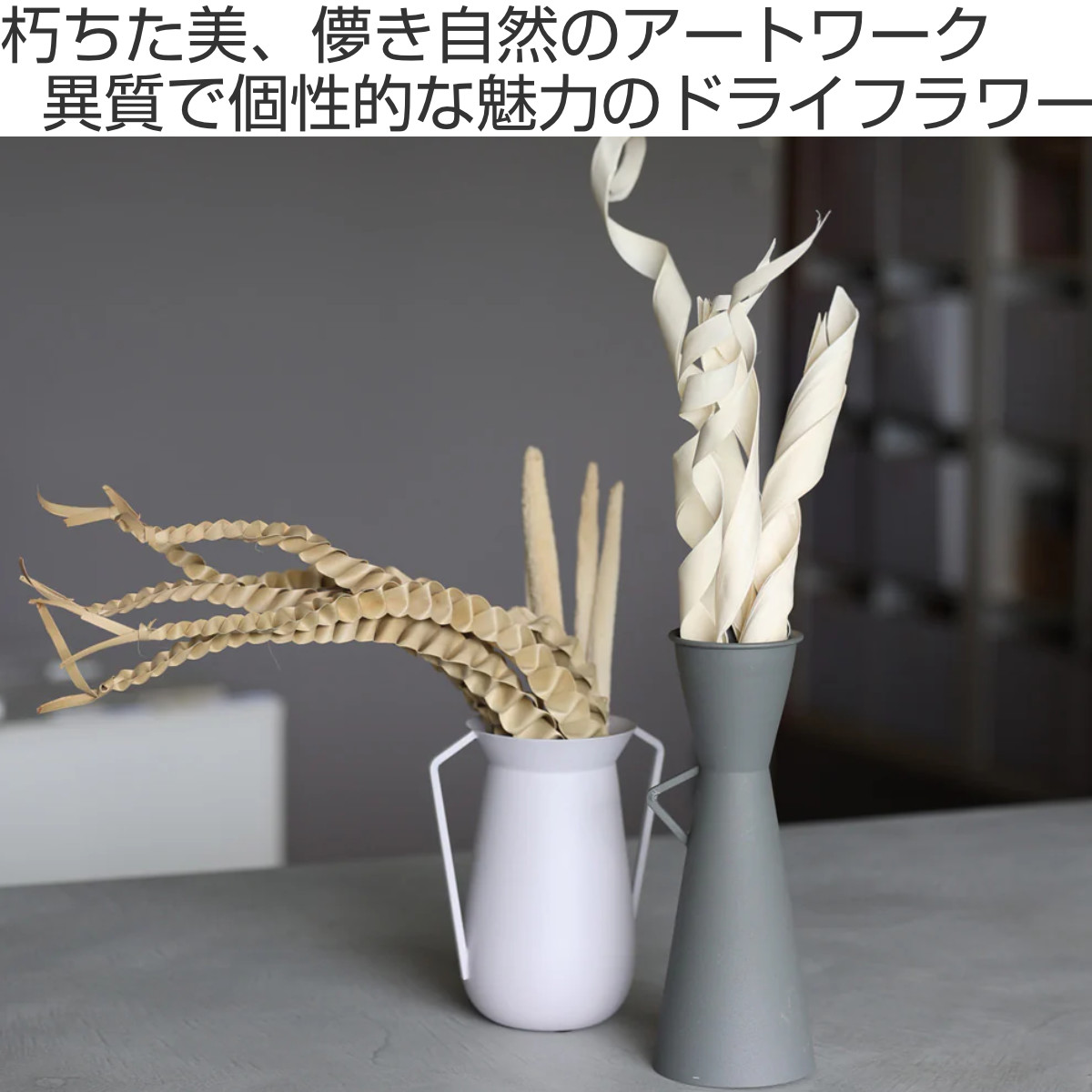 ドライフラワー CASTO SUN PALM ...の詳細画像1