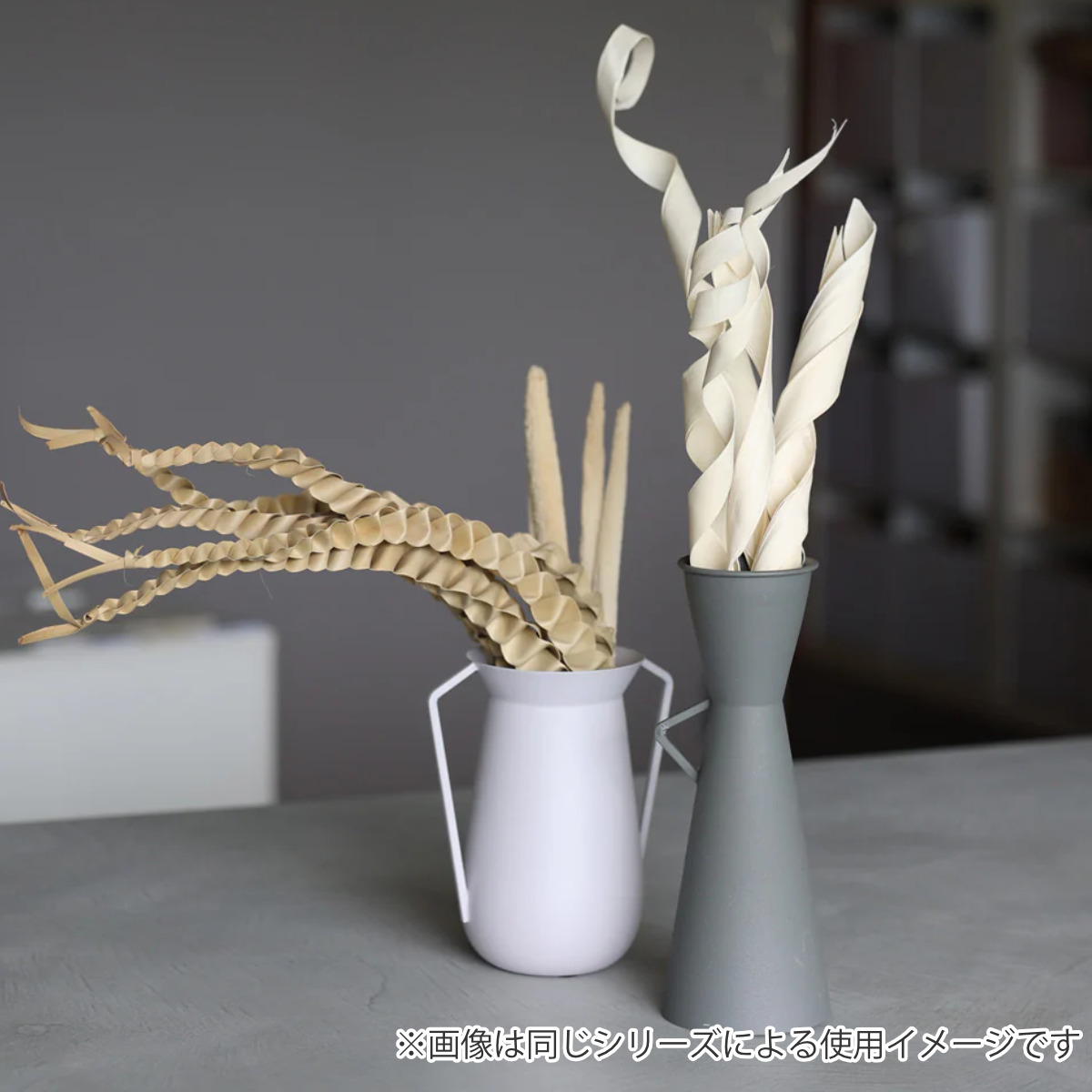 ドライフラワー CASTO SUN PALM ...の詳細画像3