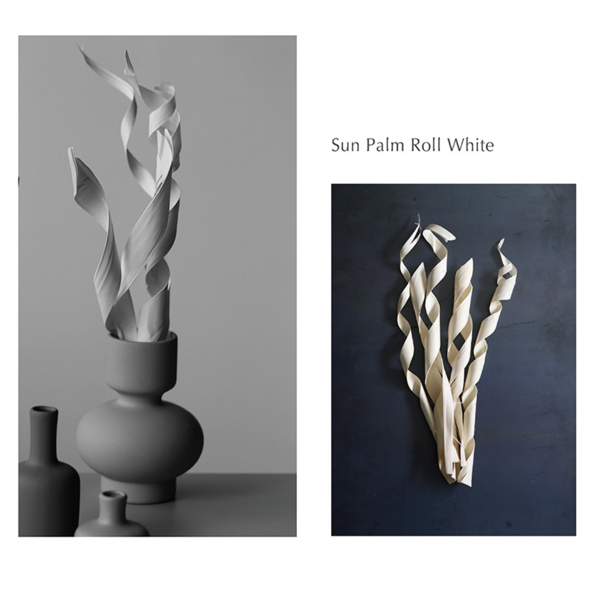ドライフラワー CASTO SUN PALM ...の詳細画像5