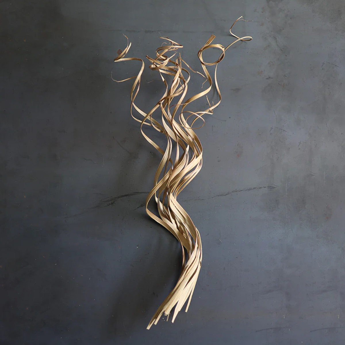 magnet ドライフラワー CASTO COCO CURL （ 枝 枝物 インテリア 花材