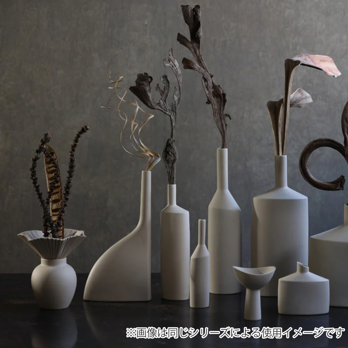 magnet ドライフラワー CASTO COCO CURL （ 枝 枝物 インテリア 花材