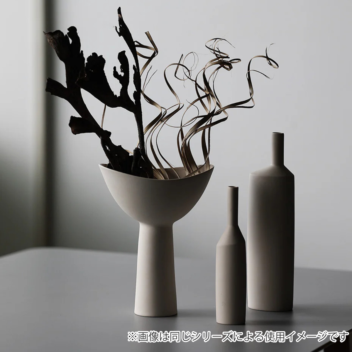 ドライフラワー CASTO COCO CURL...の詳細画像3