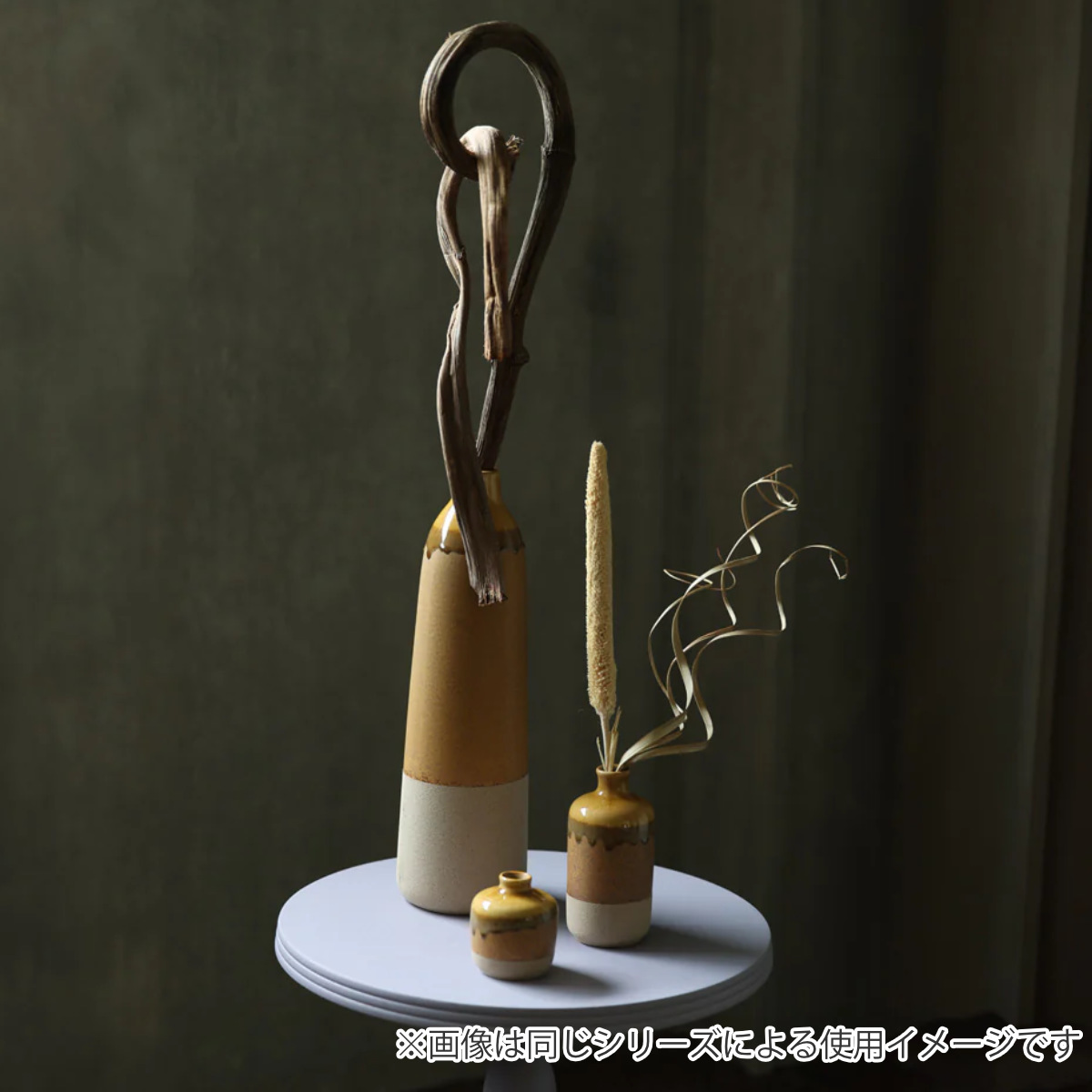 magnet ドライフラワー CASTO COCO CURL （ 枝 枝物 インテリア 花材