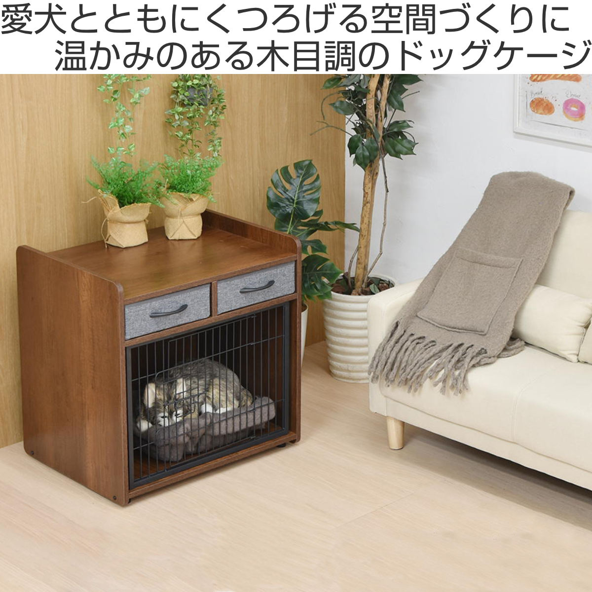 ペットケージ ドッグハウス グロリア 小型犬 木製 （ 幅62×奥行49.5×高