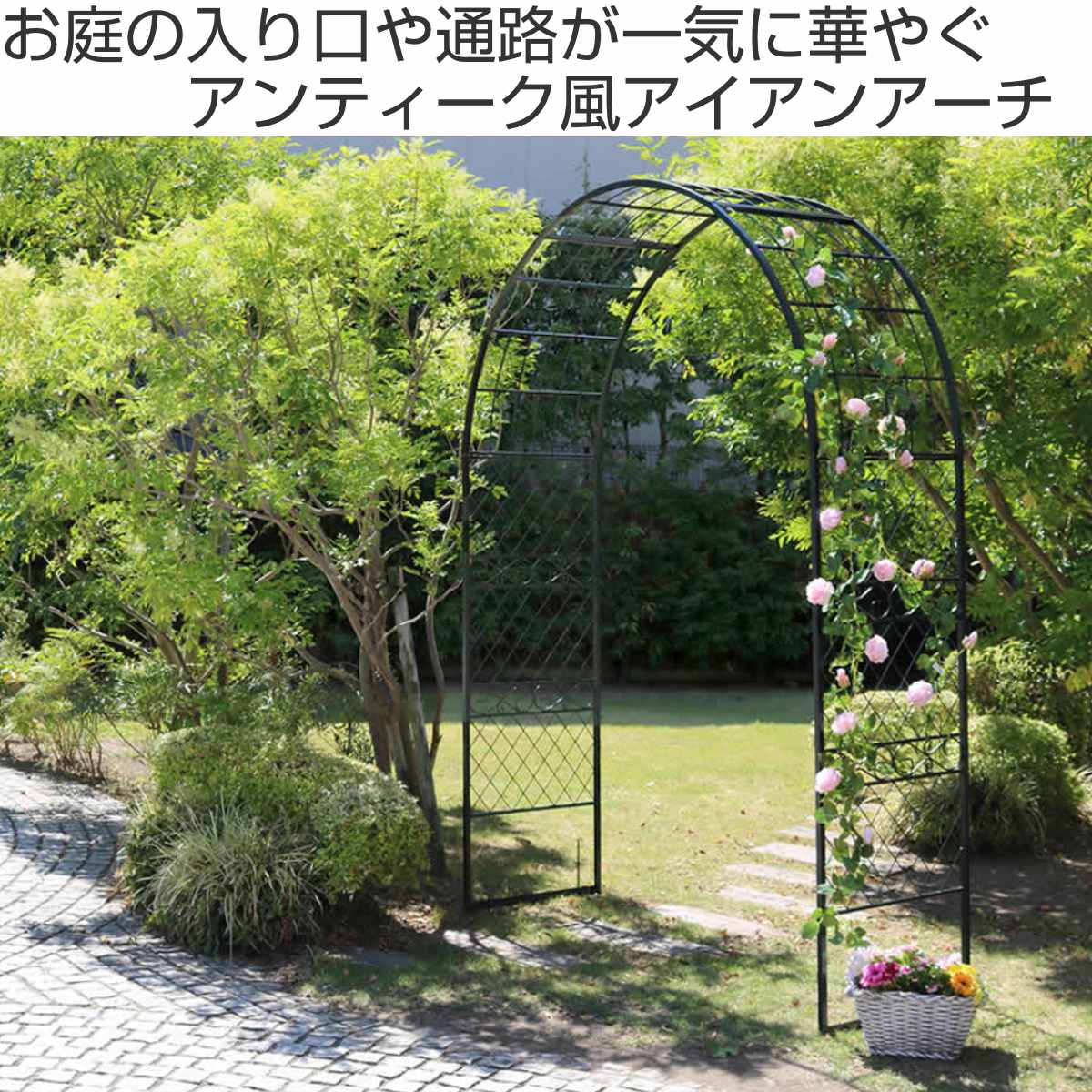アーチ ワイドアイアンアーチ （ 鉄製アーチ おしゃれ ローズアーチ