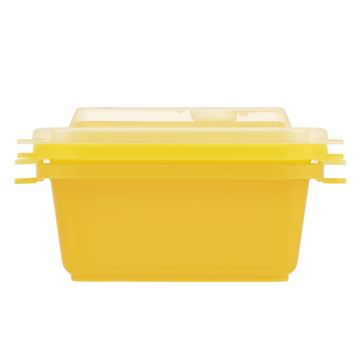 スケーター 保存容器 300ml エアー弁ふわっと保存容器 M おさるの