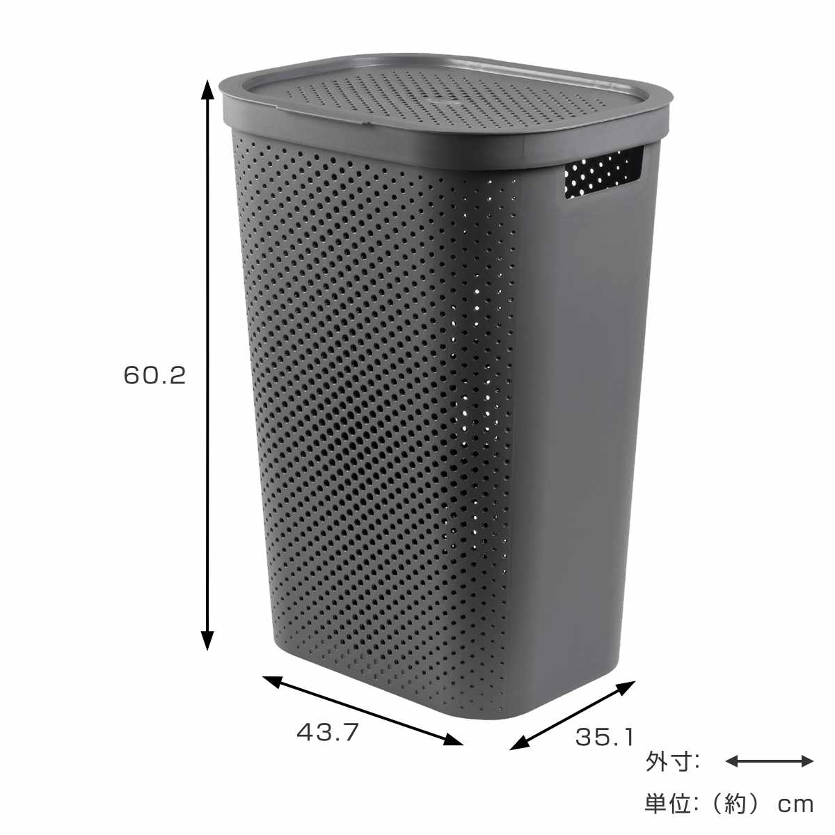 藤栄 ランドリーバスケット CURVER インフィニティー 60L ふた付き