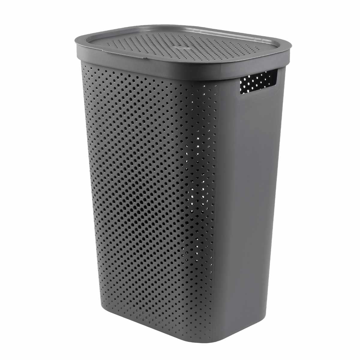 藤栄 ランドリーバスケット CURVER インフィニティー 60L ふた付き