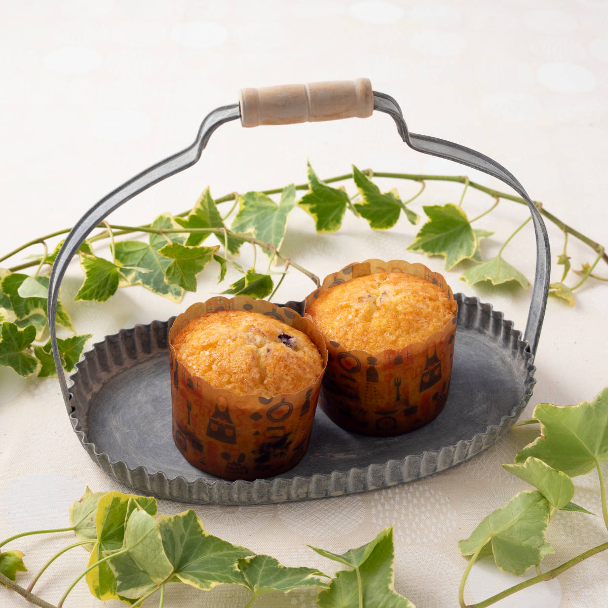 貝印 カップケーキ型 7cm 北欧 紙製 5枚入 （ オーブン対応 カップ