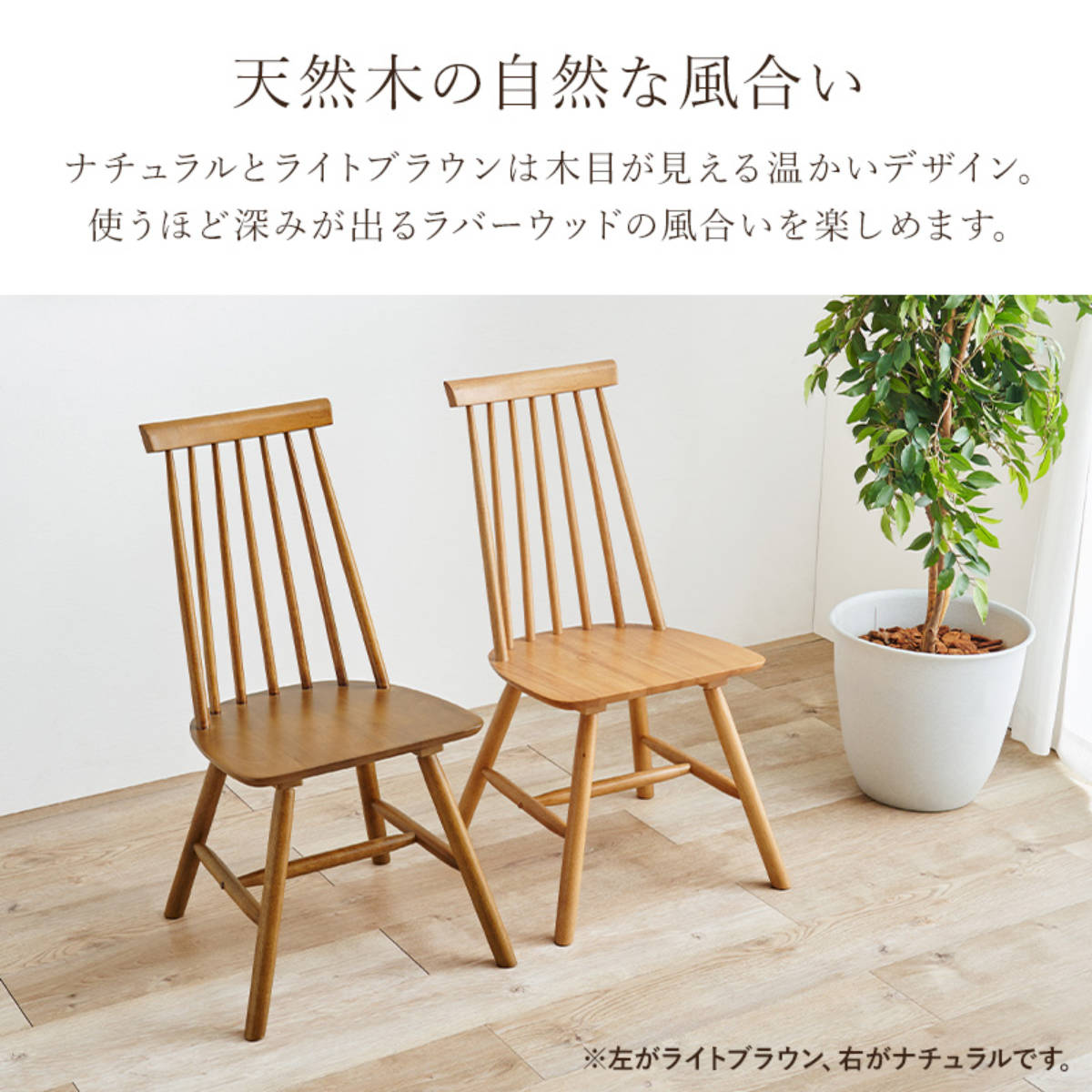 HAGiHARA（萩原） ダイニングチェア 同色2脚セット 座面高42cm