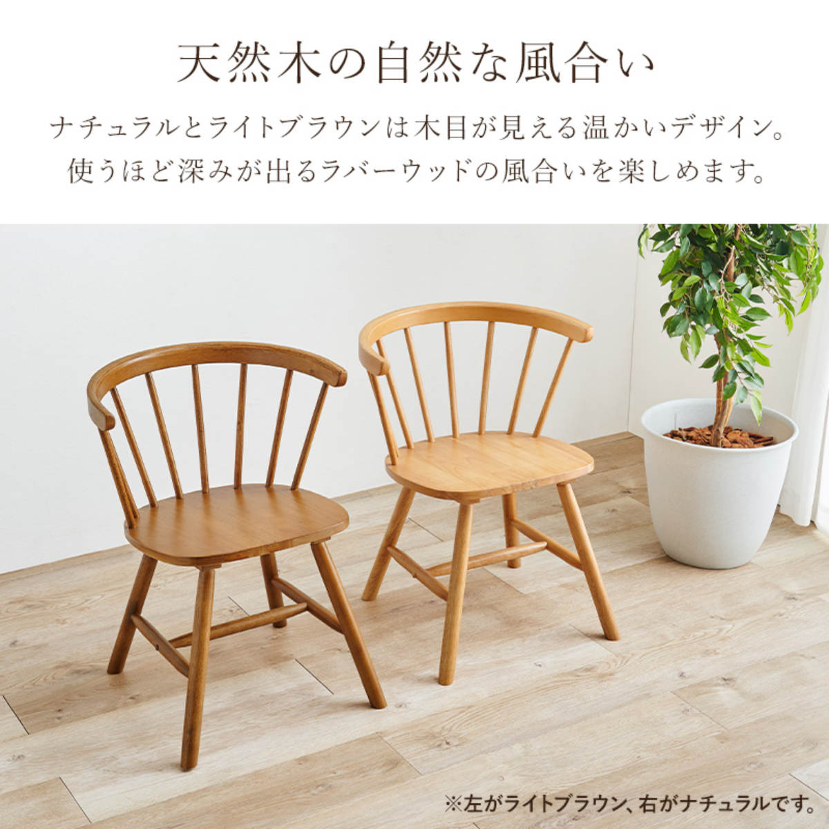 HAGiHARA（萩原） ダイニングチェア 同色2脚セット 座面高42cm ロー