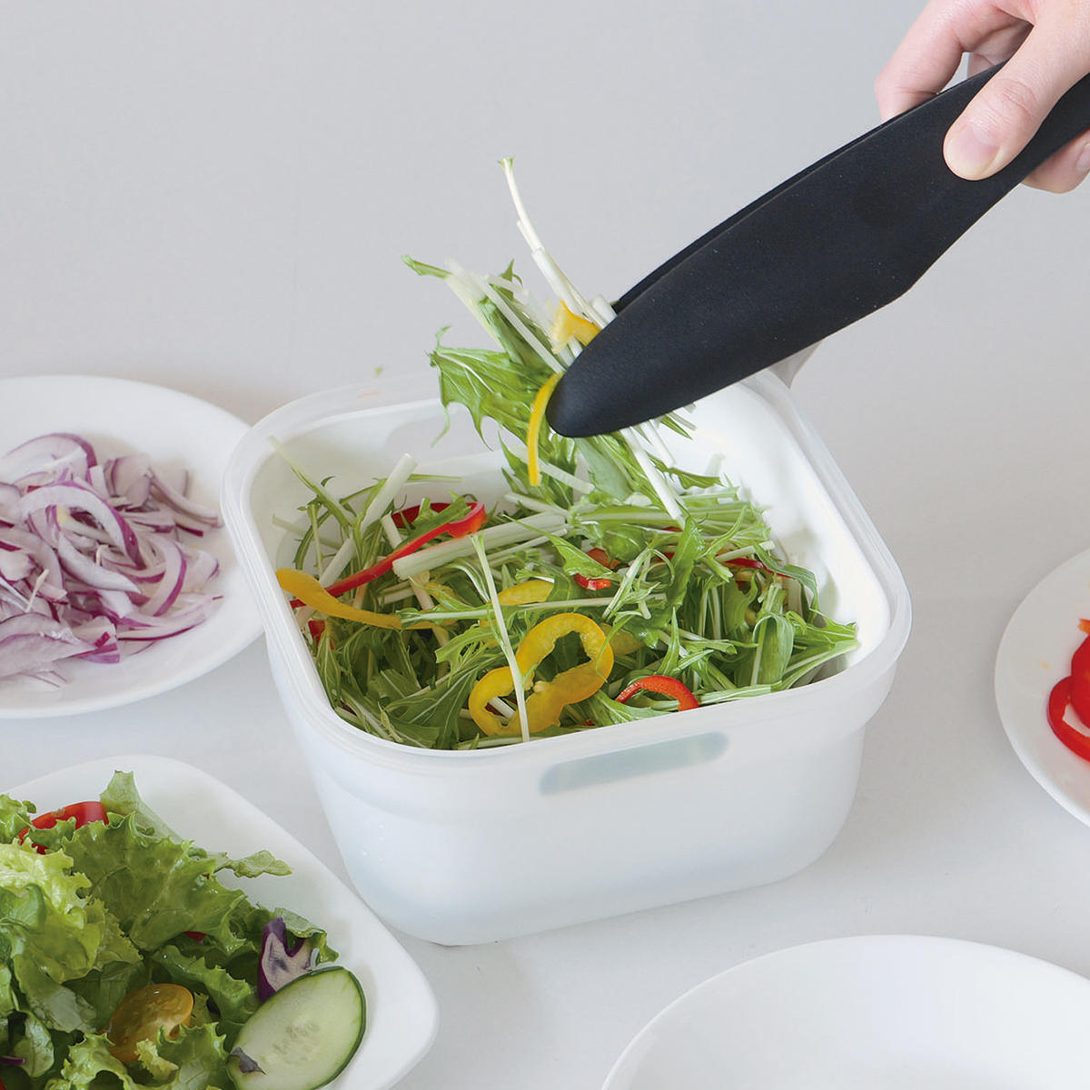 パール金属 野菜調理器 ザルボウルセット Simplice おろしプレート