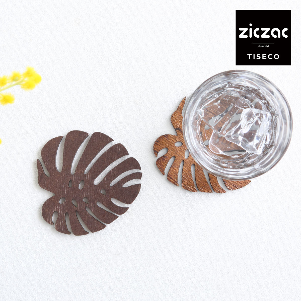 コースター 木製 ZICZAC BIRCH Coaster Monstera （ ジックザック 木製