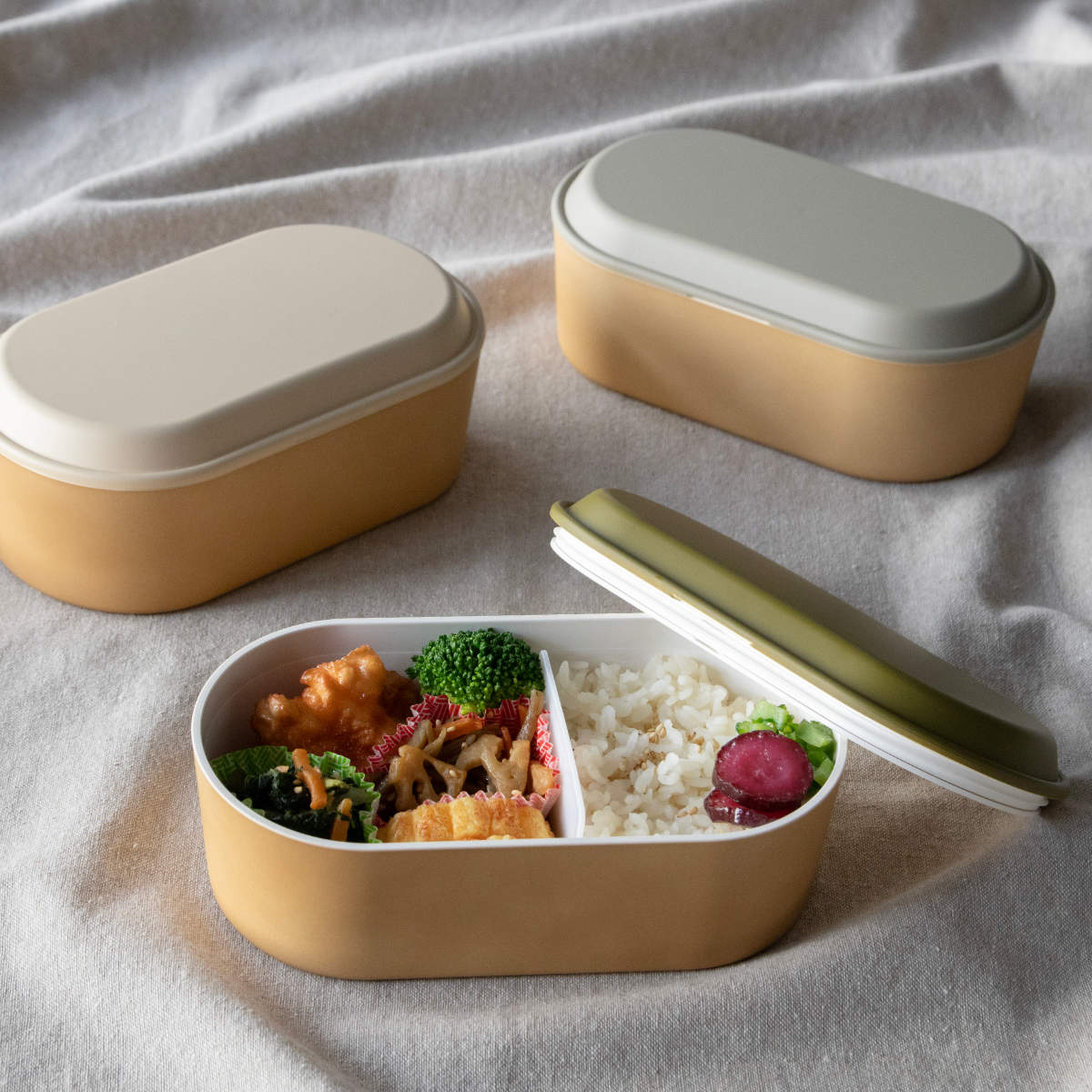 EARTH COLOR 弁当箱 550ml earth color 抗菌オーバル1段弁当 （ お弁当