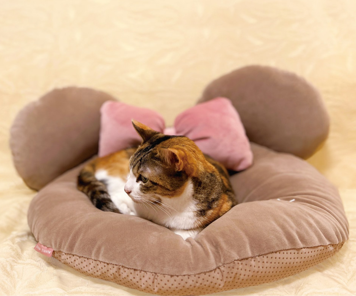 犬用キャラクター柄クッションベッド スケーター ペットベッド ペット用クッション キャラクター 小型犬