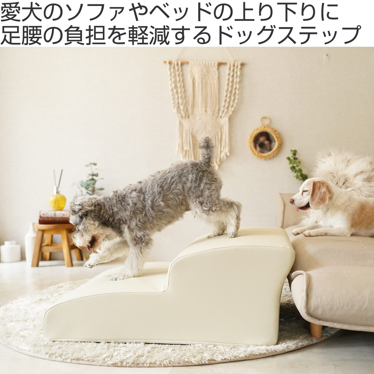 セルタン　ドッグステップワイド　グレー　2段 セルタン ドッグステップ ワイド 2段 小型犬用 階段型ソファ （ ペット