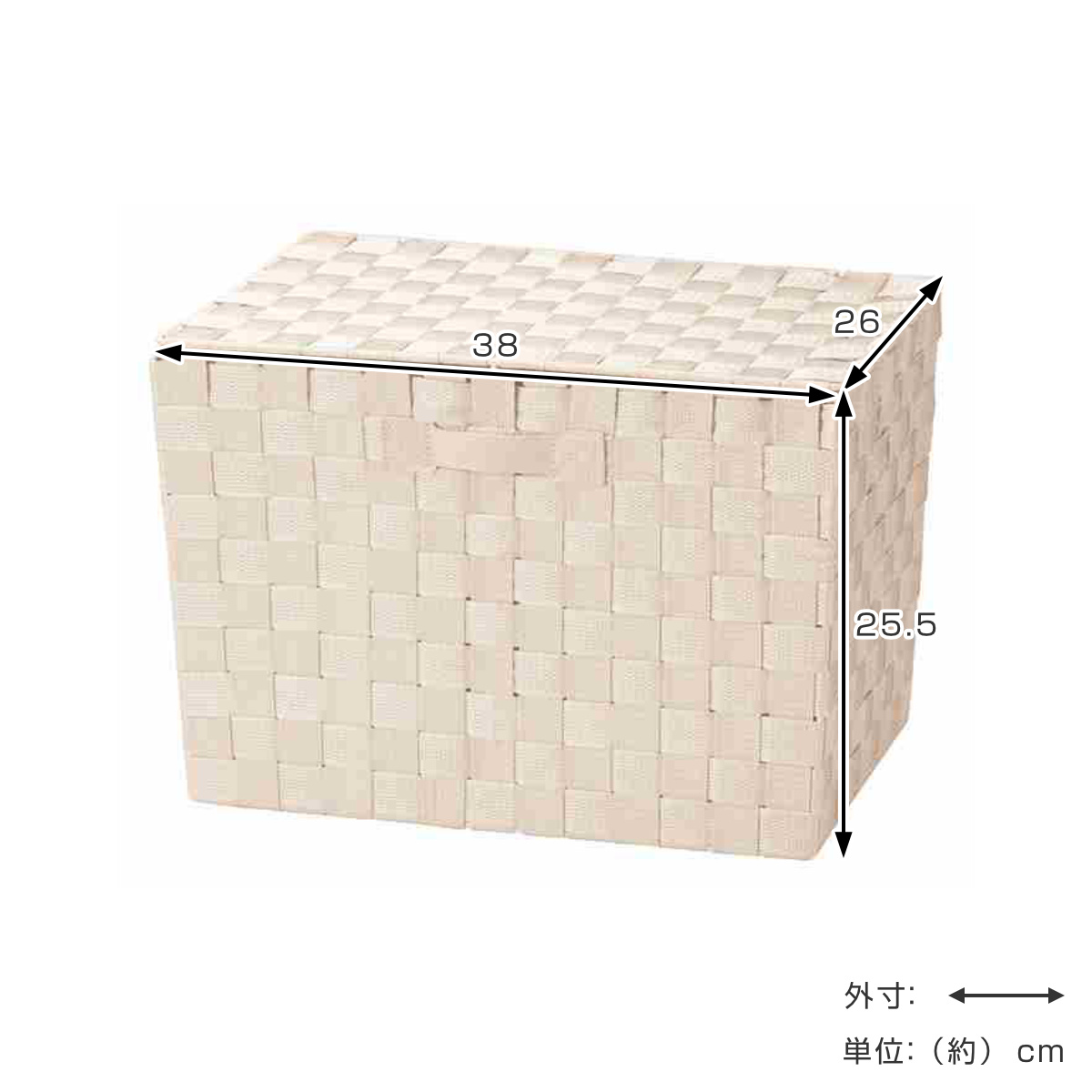 ちどり産業 収納ボックス PPバスケット ふた付き フル 幅38×奥行26×高