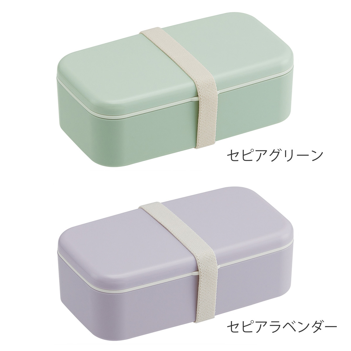スケーター 弁当箱 600ml 1段 箸付ランチボックス （ お弁当箱 ランチ