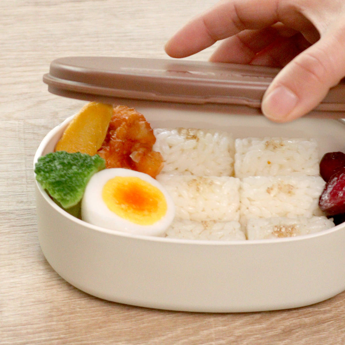 HAKOYA 弁当箱 さっと洗えるお弁当箱 プレミアム 480ml （ お弁当箱