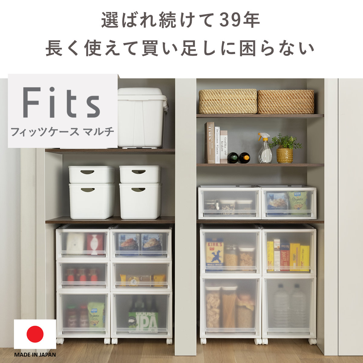 Fits 収納ケース 同色2個セット フィッツケース マルチ 40-30L （ 幅30