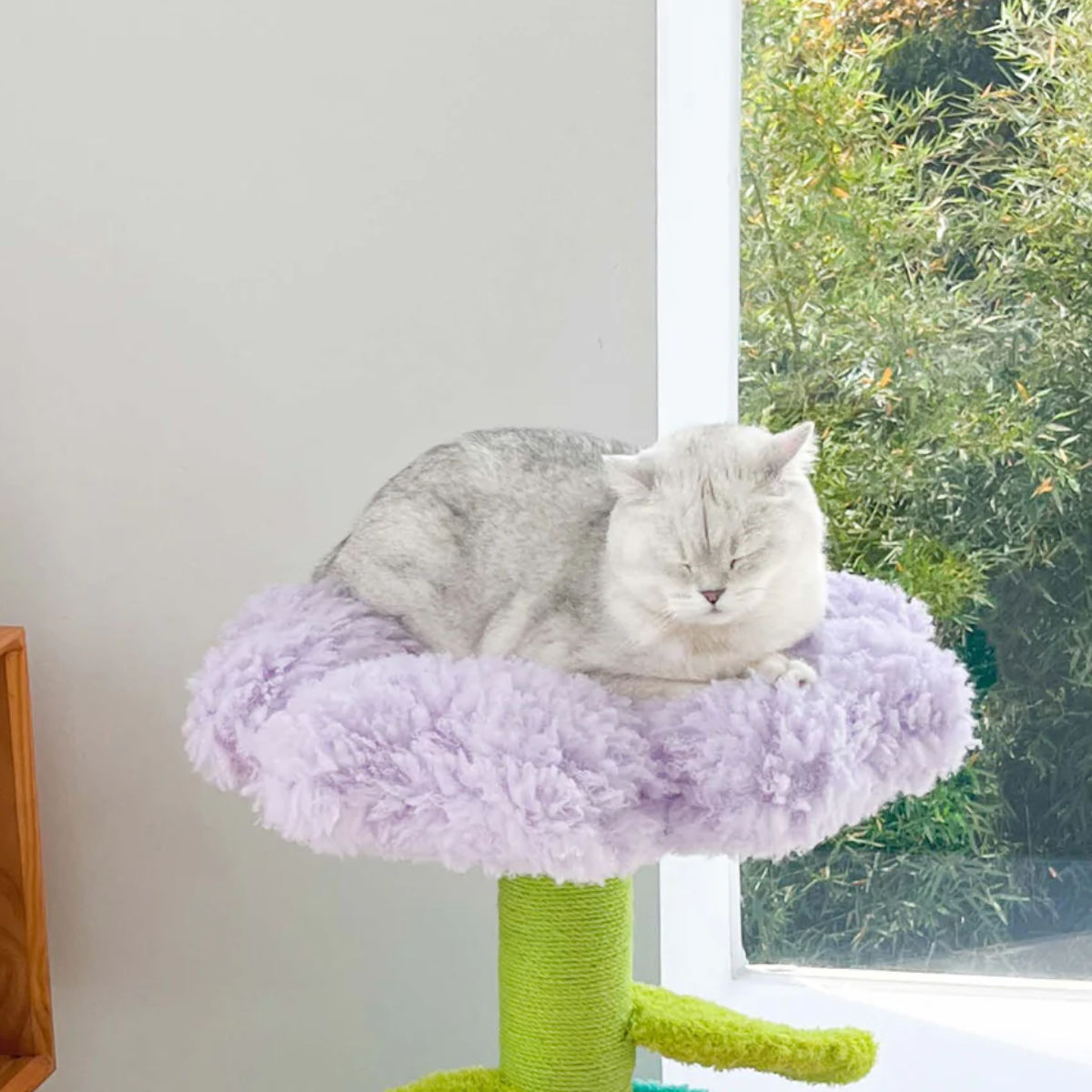 magnet キャットタワー Pot Pet House PURPLE ZEZE 猫ハウス （ 猫