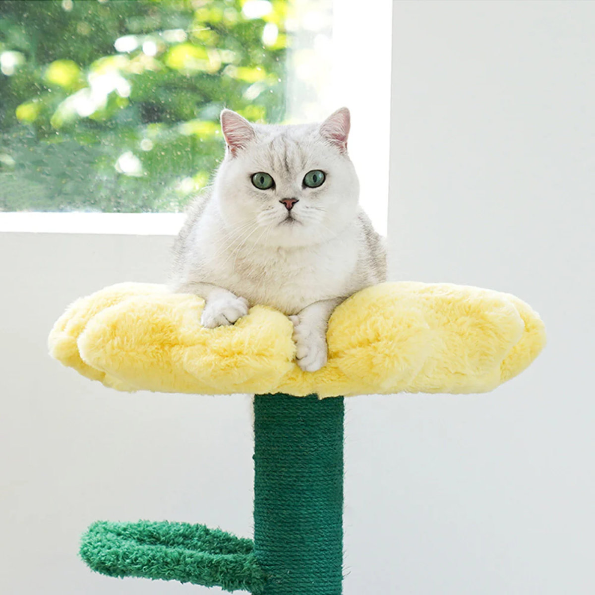 magnet キャットタワー Pot Pet House YELLOW ZEZE 猫ハウス （ 猫