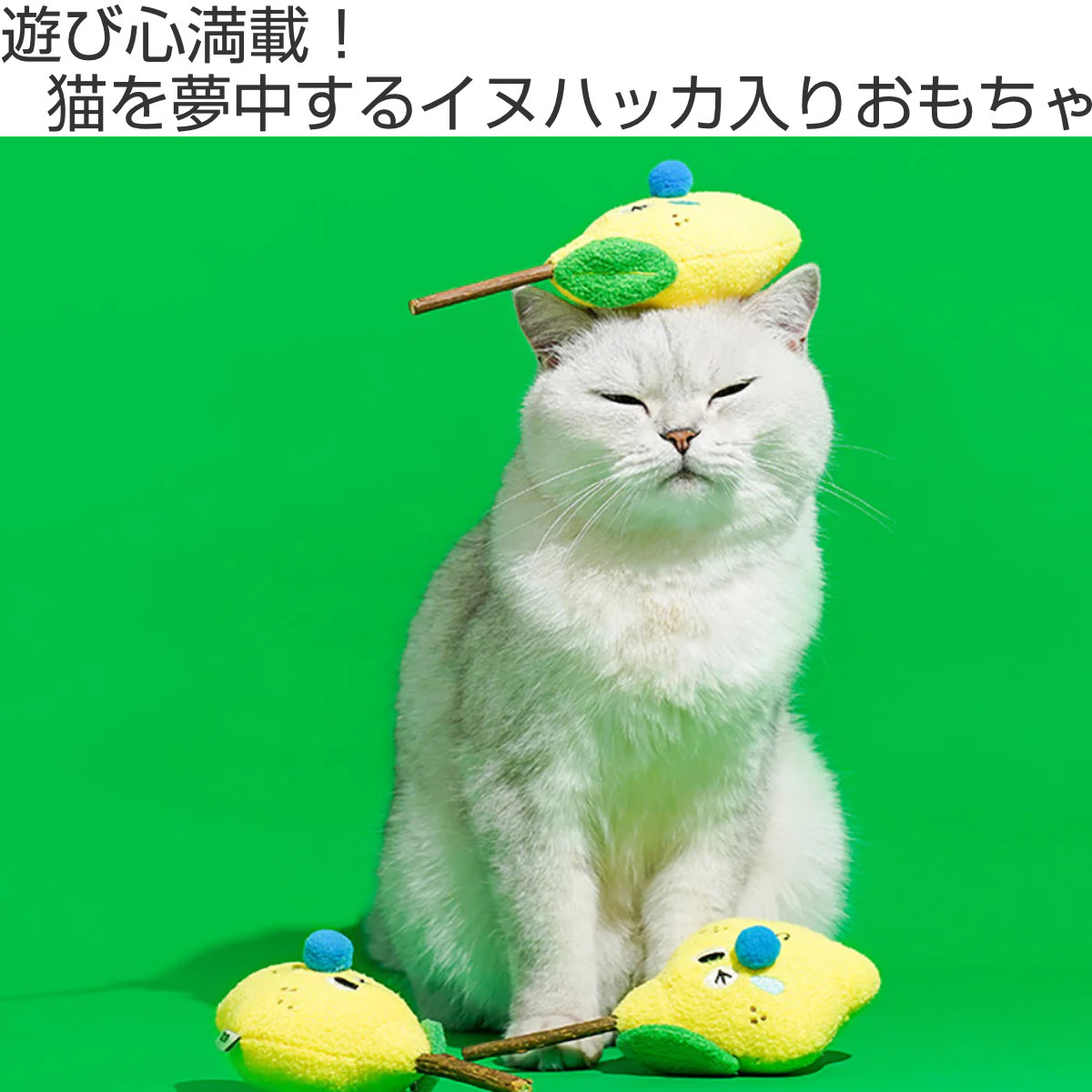 magnet おもちゃ 猫 Lemon Matatabi Toy ZEZE またたび （ 猫用