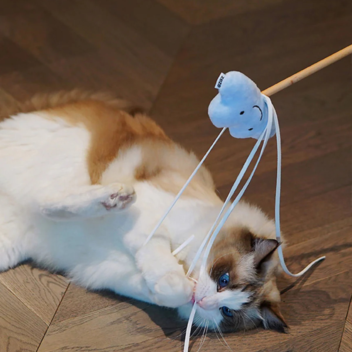 magnet 猫じゃらし Starry Sky Cat Playing Rod ZEZE おもちゃ