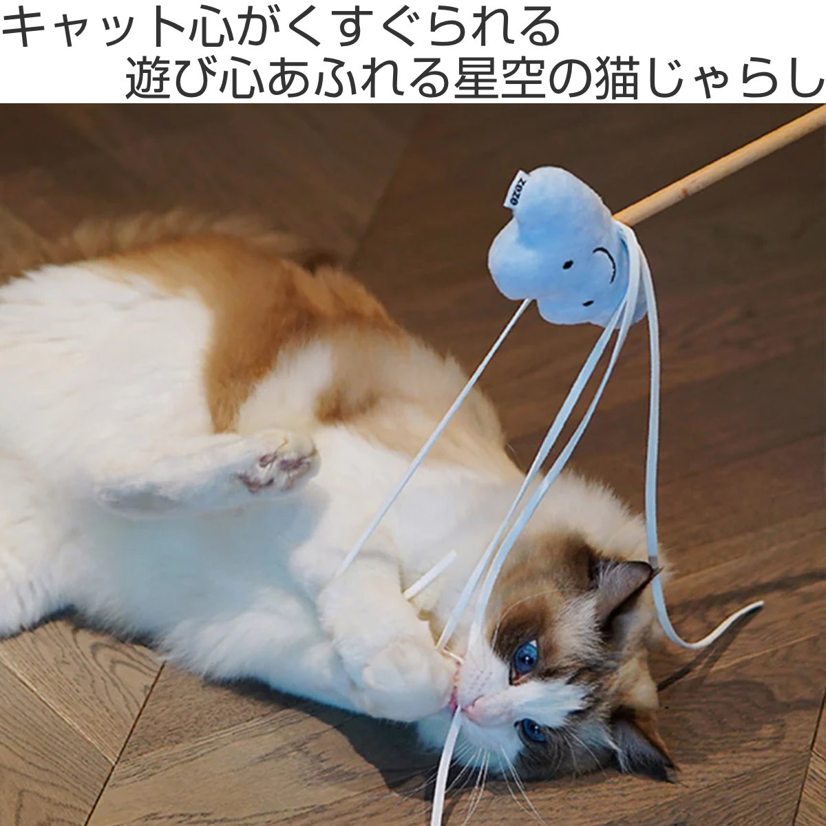 magnet 猫じゃらし Starry Sky Cat Playing Rod ZEZE おもちゃ