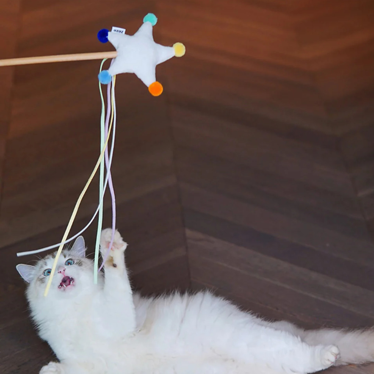 magnet 猫じゃらし Starry Sky Cat Playing Rod ZEZE おもちゃ