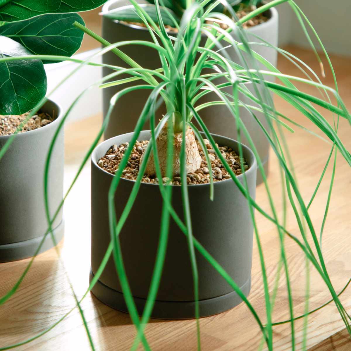 KINTO（キントー） プラントポット 170×160mm （ 鉢 植木鉢 プランター