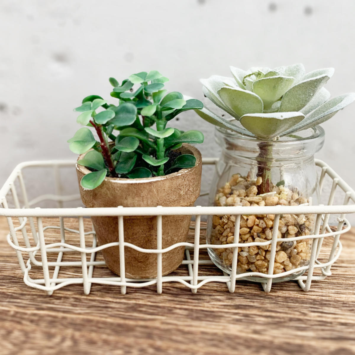 HABITER（アビテ） かご スウェル トレー S 小物入れ 幅17×奥行7×高さ